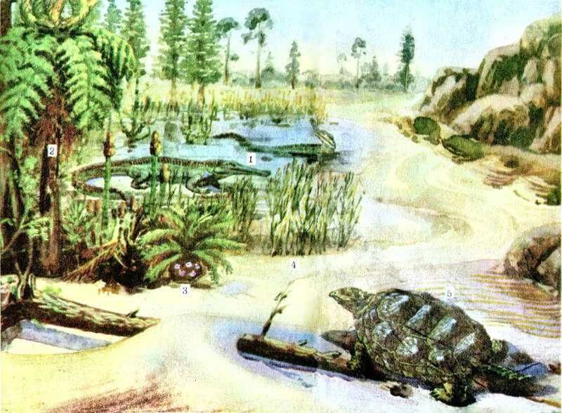 Люрин І.Б., Уткін В.С. Як розвивалося життя на Землі.