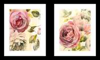 2 romantyczne plakaty- róże 40x50 x 2