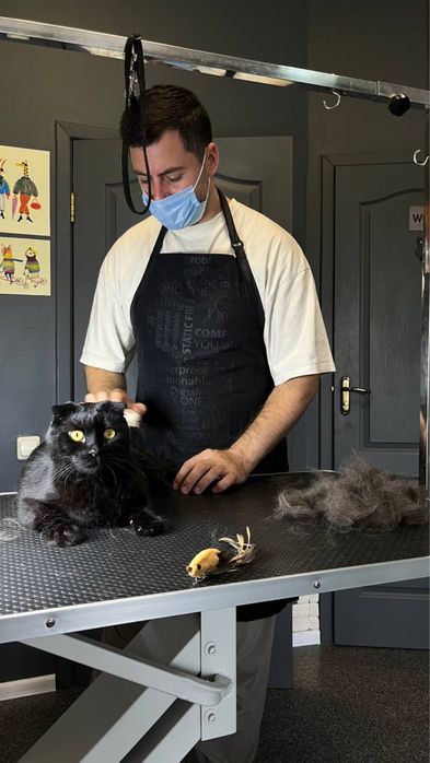 Грумінг салон на лівобережній