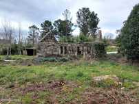Quinta com 2ha em Fornos de Algodres