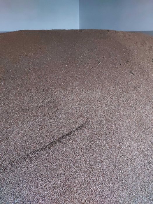 Sprzedam Pszenicę ozimo