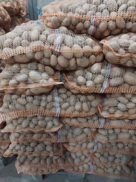 sprzedam ziemniaki paszowe