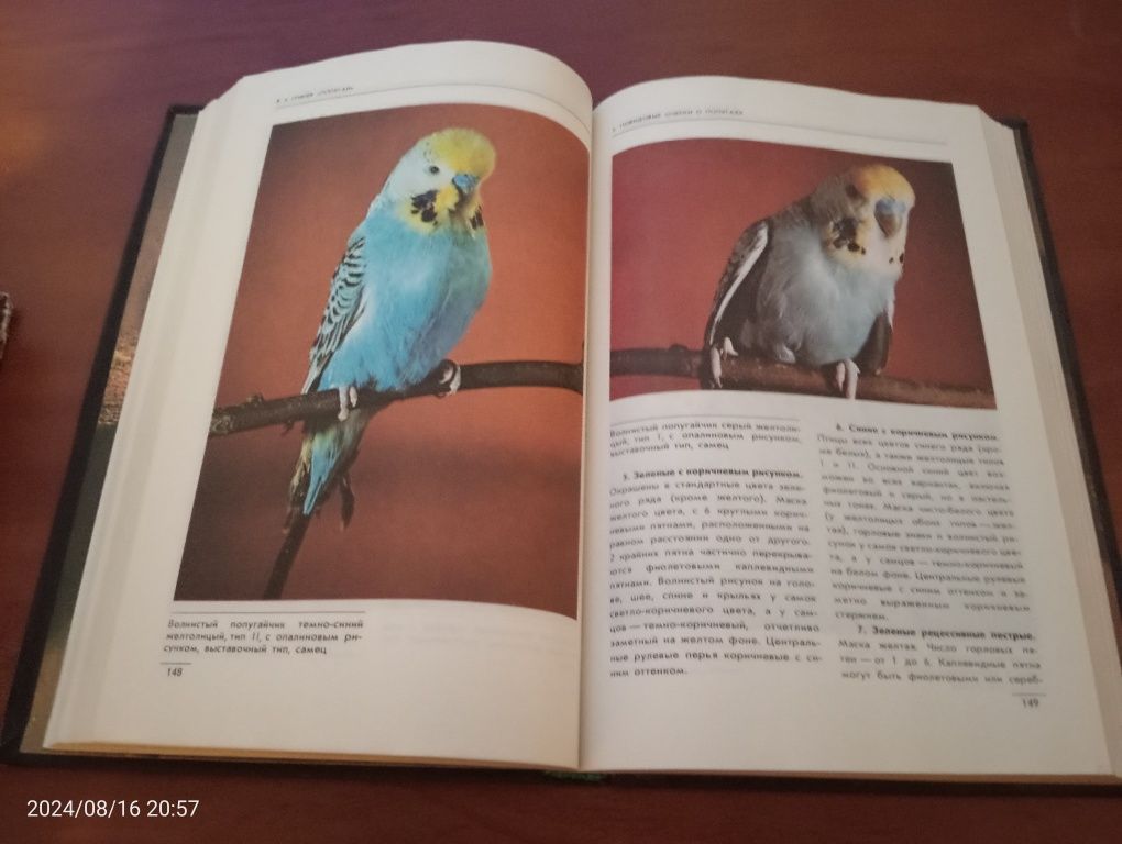Попугаи В.А.Гринев Довідник посібник