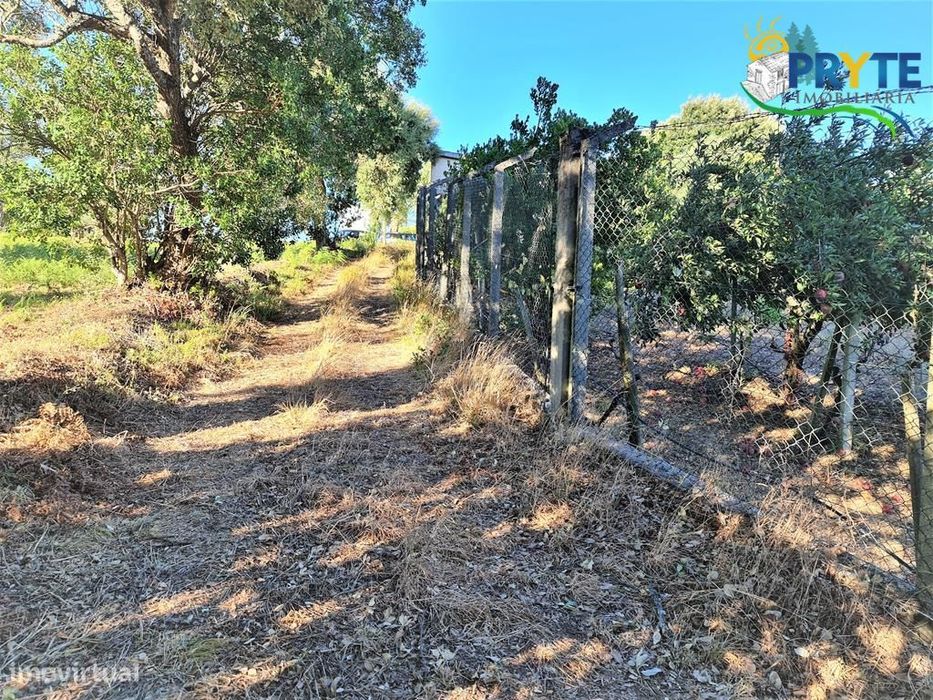 Quintinha de 3350 metros quadrados situada perto da Vila da Sertã
