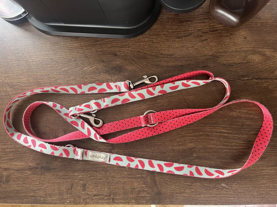 Kolorowa smycz przepinana amiplay 2,3 metra