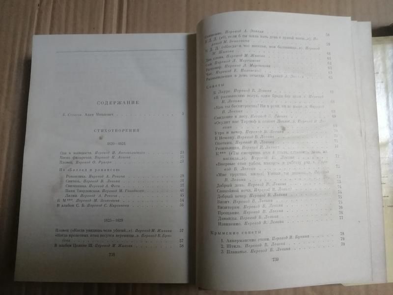 Адам Мицкевич. Михаил Коцюбинский, Леся Украинка. школьная программа