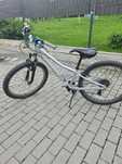 Trek precaliber 24 cale