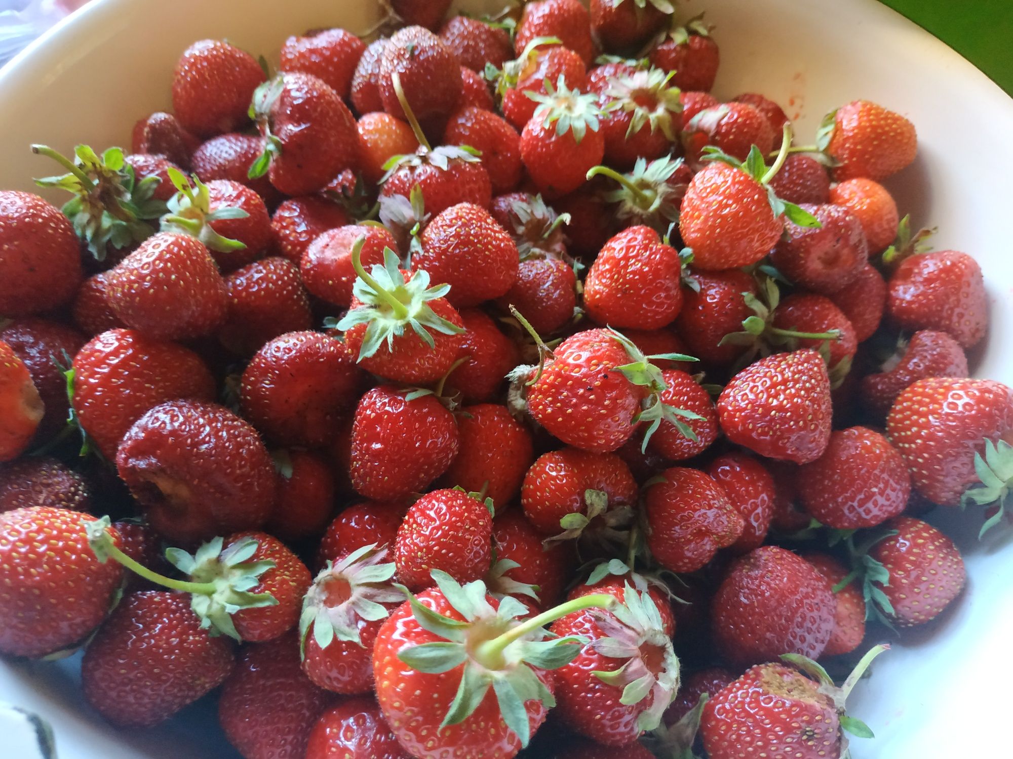 Продам ягоды замороженные из своего сада - облепиху, смородину, малину