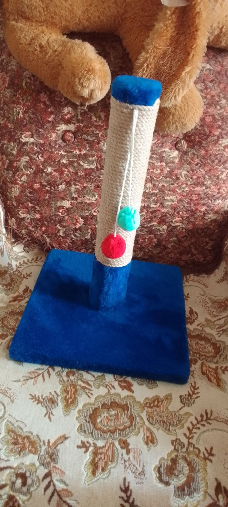 Когтеточка для котов