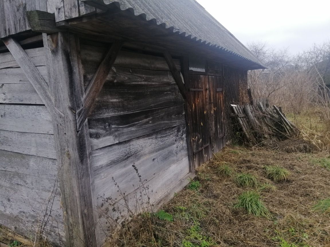 Хата в селі Оглядів