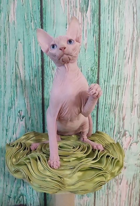 Голубоокий блондин