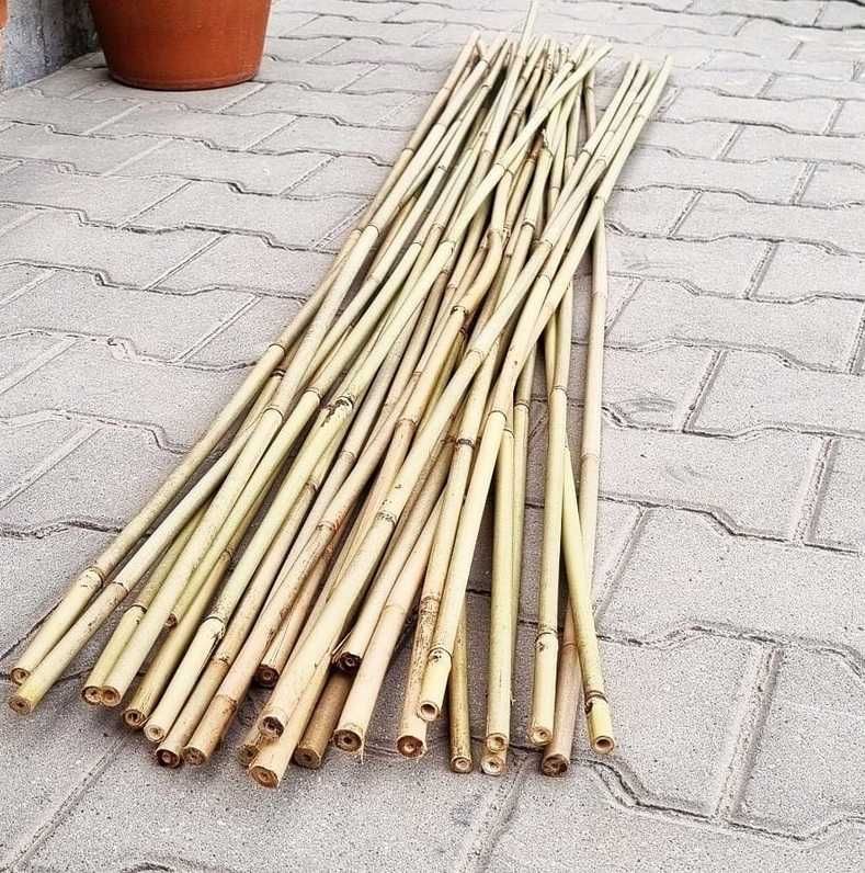 TYCZKI  BAMBUSOWE 210cm Bpaliki do pomidorów podpory drzewek roślin