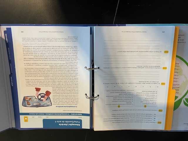 "Mensagens 9" - 9º ano - Português -  Projeto PROFESSOR