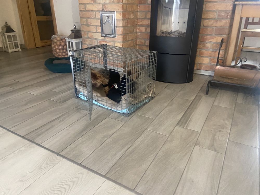 Klatka  transporter do przewozu zwierząt oryginalnie dla nutrii