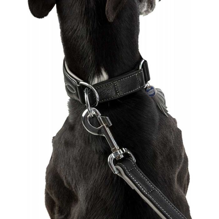 NOVO - Coleira Active Comfort em Pele para Galgo - Trixie