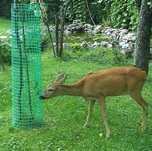 Siatka Rabatowa plastikowa pvc, ogrodowa ogrodzeniowa RÓŻNE WYMIARY