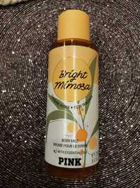 VS PINK Bright mimosa