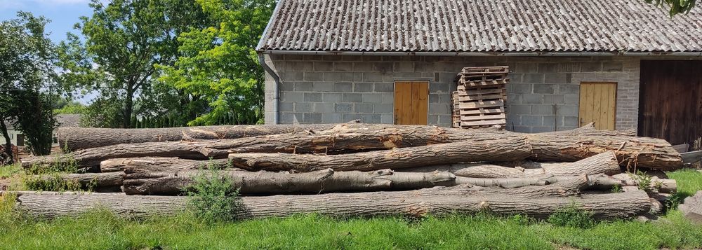 Drewno na deski meble schody akacja wiśnia orzech świerk jesion lipa