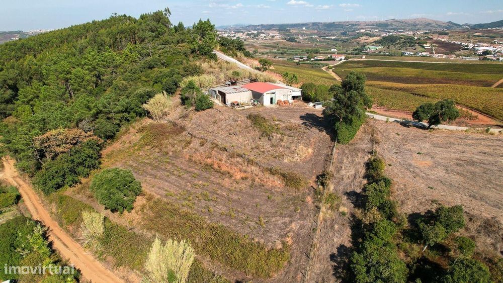 Terreno  À Venda Em Aboboreira, Azueira