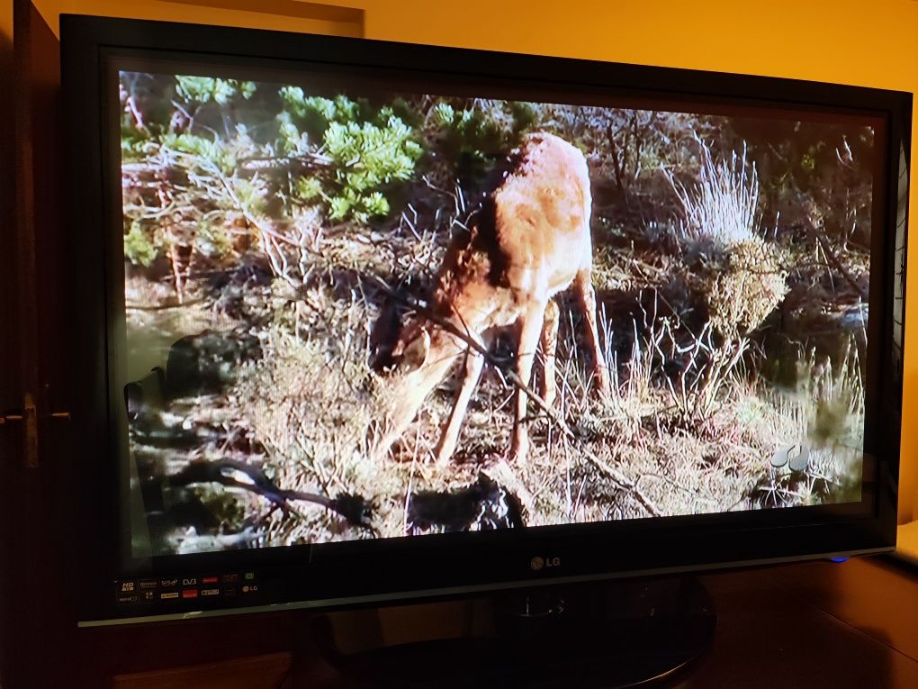 TV LG 55 polegadas