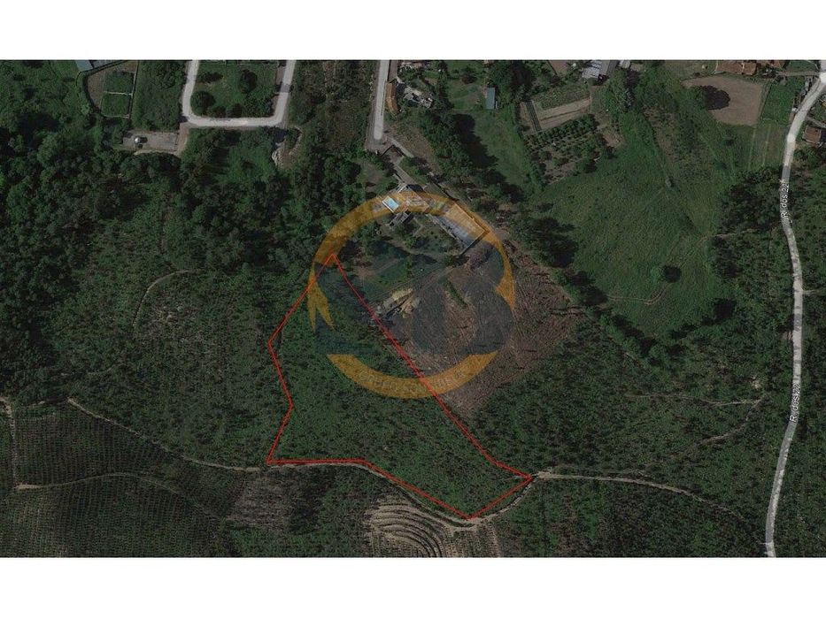 Terreno Florestal Oliveira de Azeméis