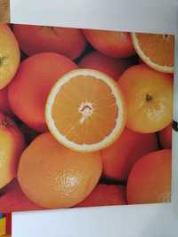 obraz pomarańcze 40x40