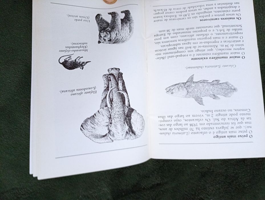 Recordes da natureza. - Selecções do Reader's Digest 1980