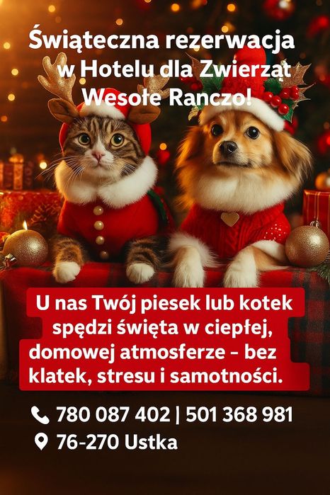 Hotel dla zwierząt domowych