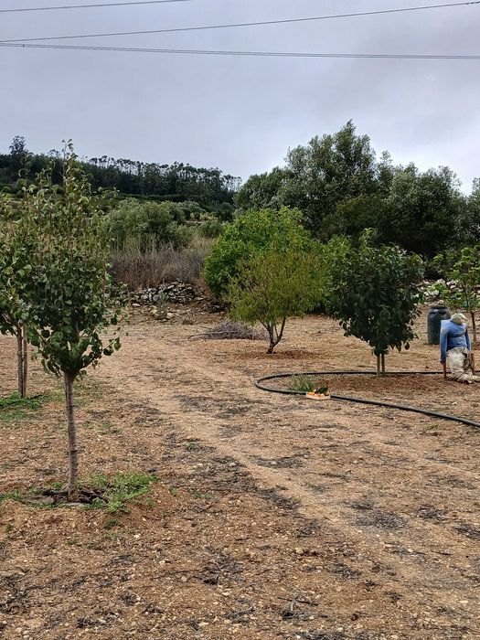 Terreno Rustico ideal para agricultura, árvores de fruta, poço de agua