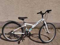 Rower mtb bitwin kola 24 cale