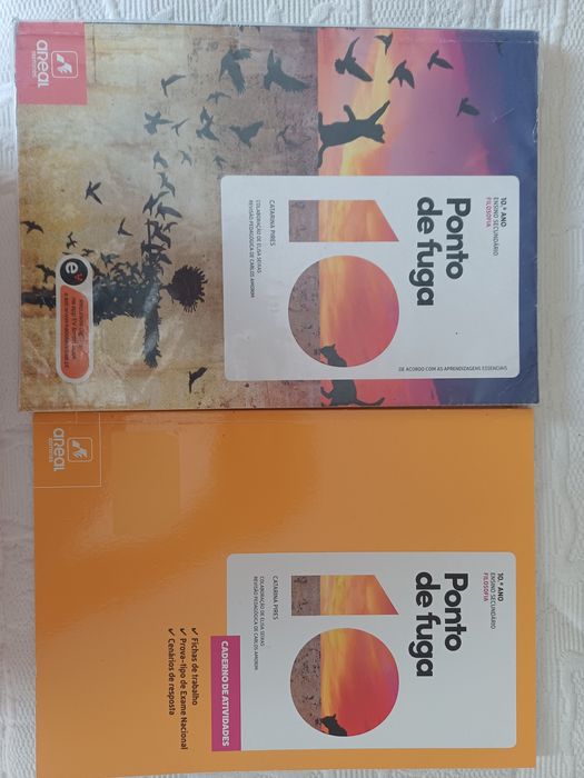 Manual e caderno de atividades de filosofia 10°ano