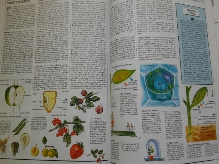 Encyklopedia Memo LAORUSSE tom 1. Wrzechświat i Ziemia, Flora i Fauna
