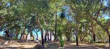 Quinta T5 no Vale de Santarém com 10.650m2 de área total e 420m2 de ár