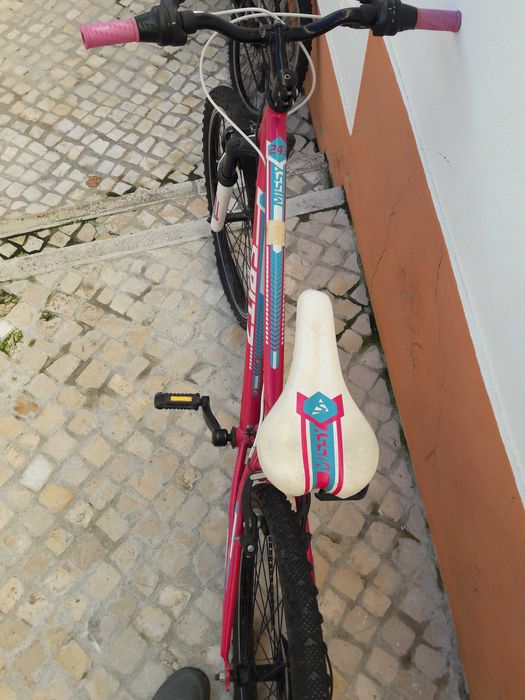 Bicicleta roda 24