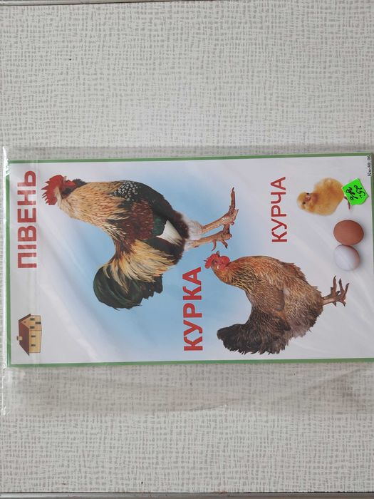 Набір карток «Домашні птахи»