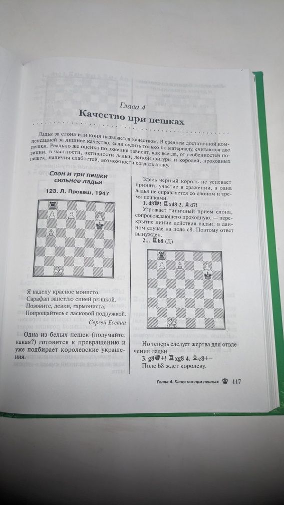 Пожарский • Школа шахмат