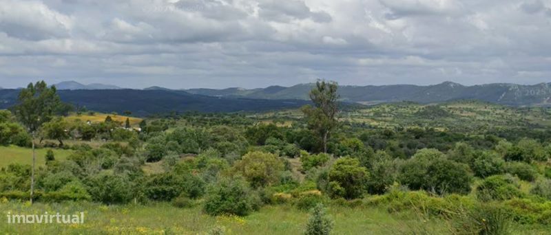 Venda Judicial Terreno Rústico Fonte Nova ou Covões Amieira do Tejo