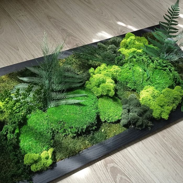 Obraz z mchem ozdoba do firm biur rośliny biurowe mech stabilizowany