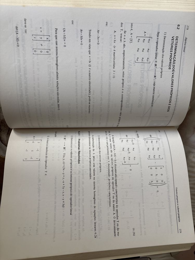 Livro “Álgebra Linear”