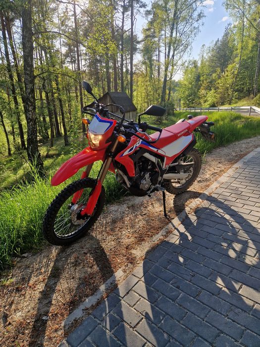 Motocykl Enduro HONDA CRF300L