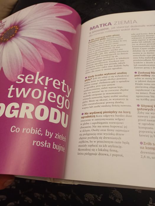 Zakazane porady ponad 1500 sposobów na lepszy dom, lepsze zdrowie i fi