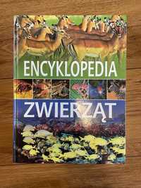 Encyklopedia zwierząt prawie 400 stron