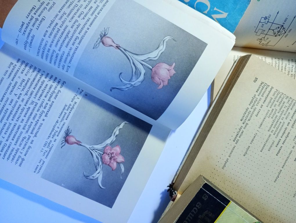 Книги для дома Мебель своими руками Тюльпаны Цветы