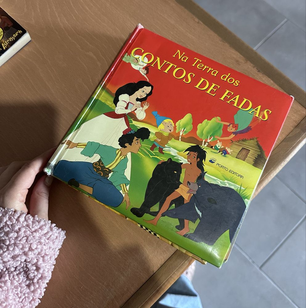 Livro “Na terra dos Contos de Fadas”