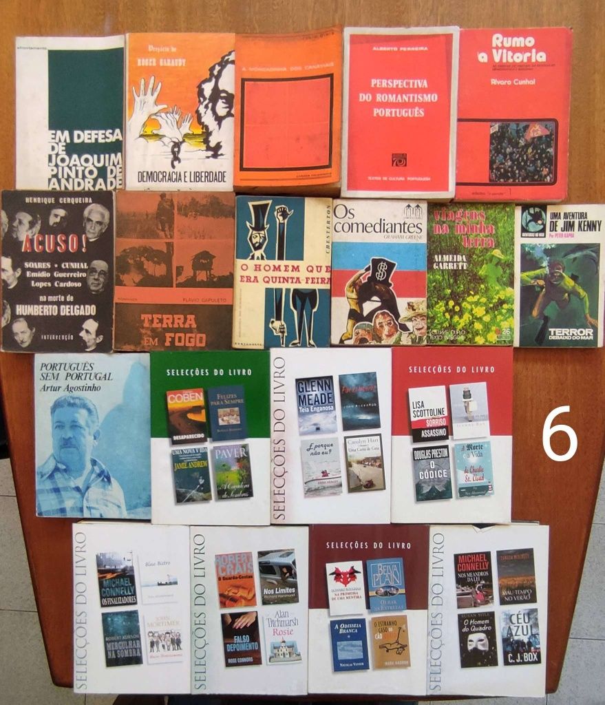 Lote de Livros antigos e recentes