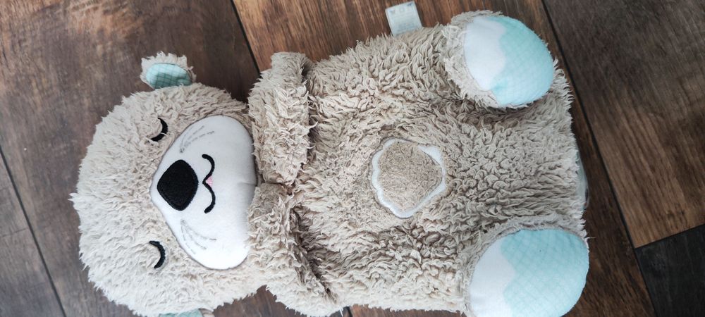 Fischer Price Wydra Szumiś/Pozytywka