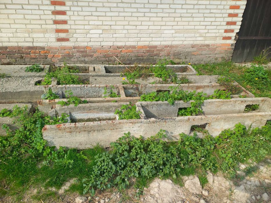 Słupy elektryczne