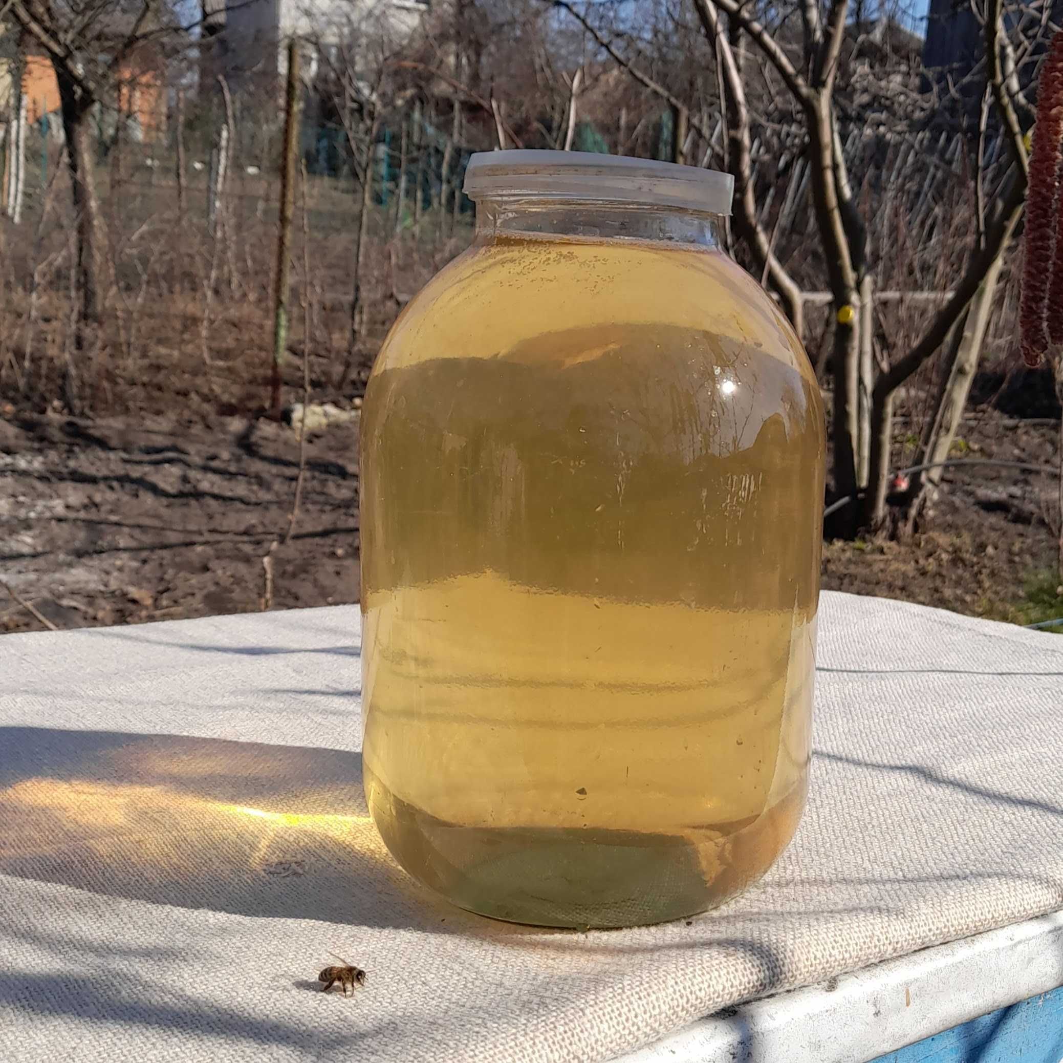 Яблучно-медовий оцет 1.5л, яблучний оцет, органічний натуральний оцет