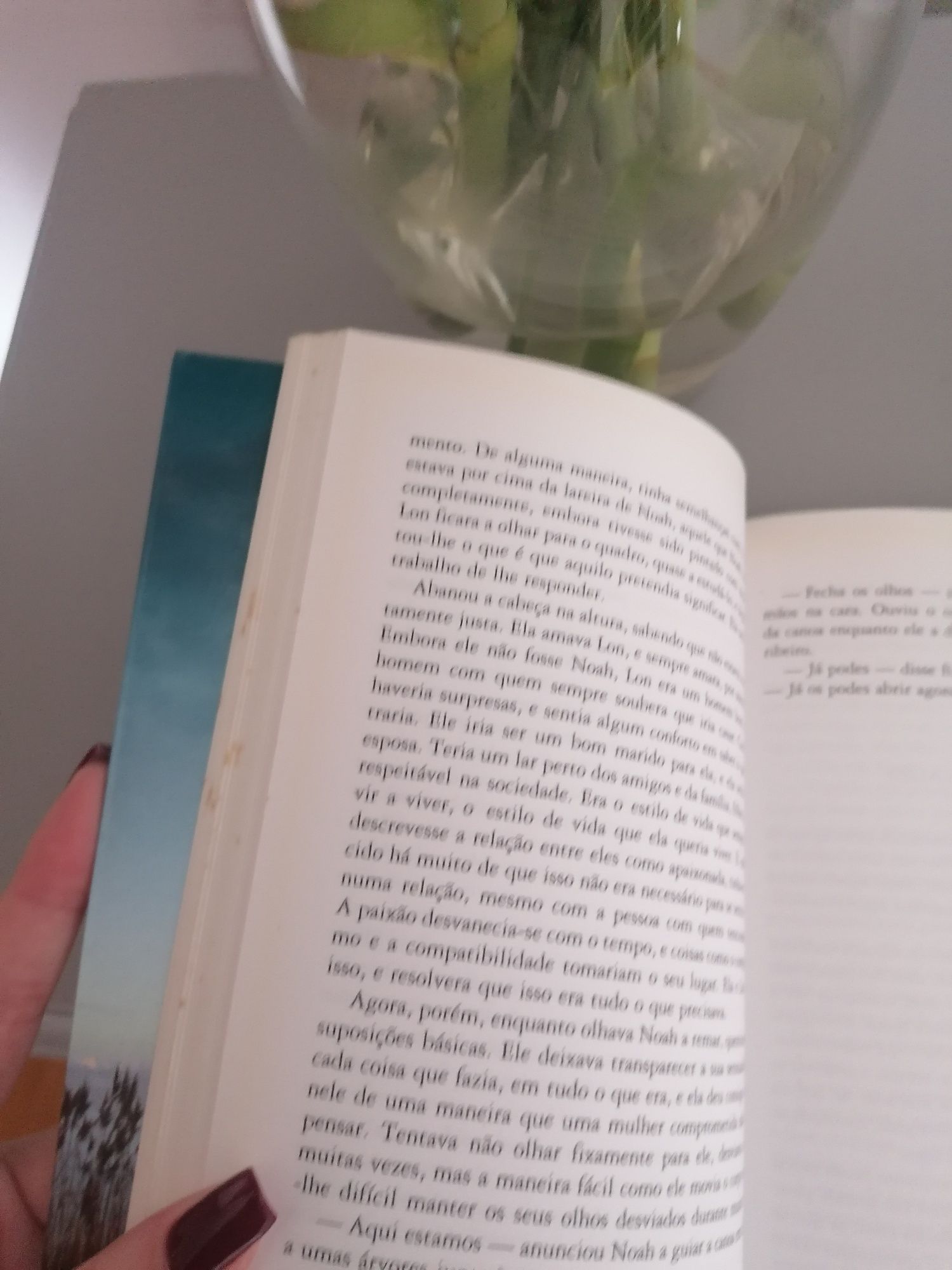 Livro: O Diário da Nossa Paixão