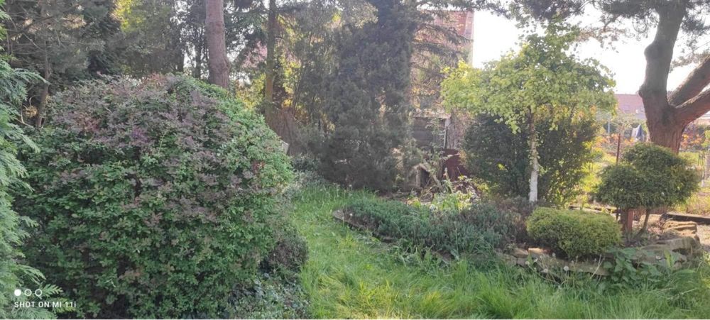 Zakładanie trawników, automatyczne systemy nawadniania, roboty koszące